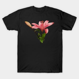 Lilies - Elegant Lily and Buds T-Shirt